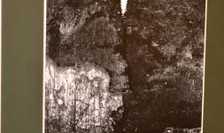 201511lorincferenc_kuneva_08.jpg
