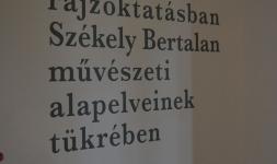 201905szekelygipsz_04.jpg